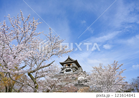 国宝犬山城 121614841