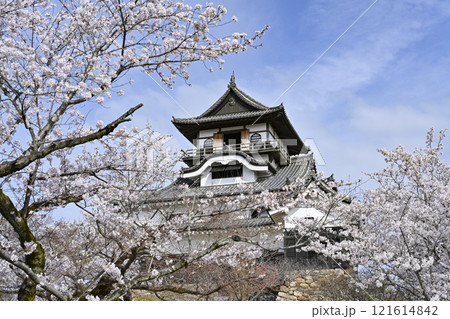 国宝犬山城 121614842