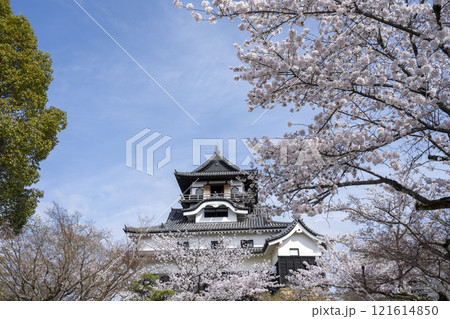 国宝犬山城 121614850