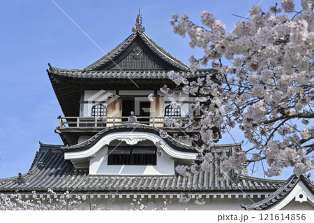 国宝犬山城 121614856