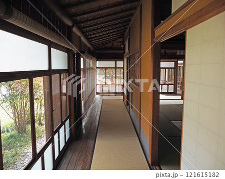 春の八事興正寺 春の八事興正寺 121615182