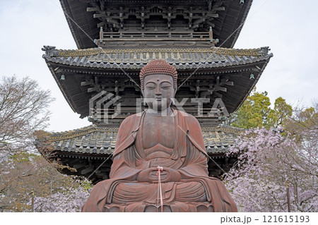 春の八事興正寺 121615193