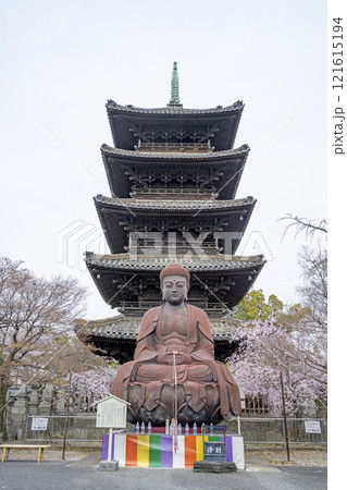 春の八事興正寺 春の八事興正寺 121615194