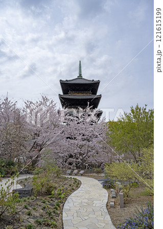 春の八事興正寺 121615199