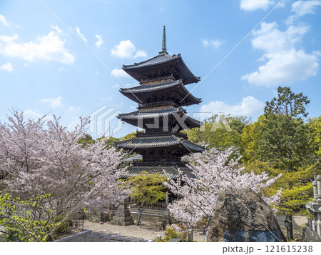 春の八事興正寺 121615238