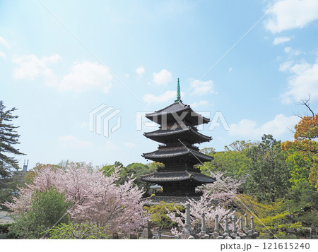 春の八事興正寺 121615240