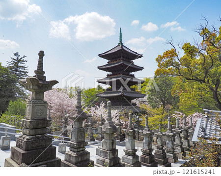 春の八事興正寺 121615241