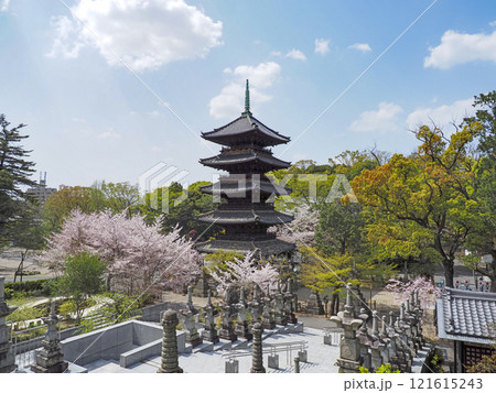 春の八事興正寺 121615243