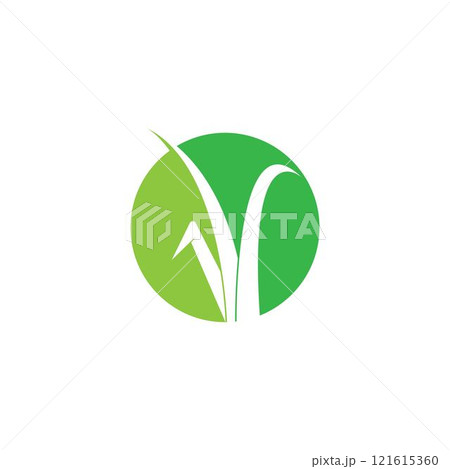 Grass logo vector Grass logo vector 121615360