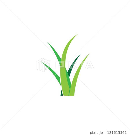 Grass logo vector 121615361