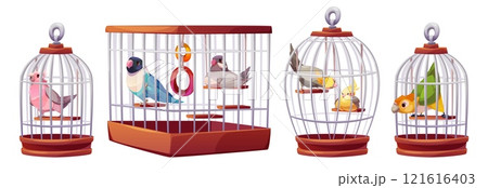Colorful parrots in metal cage 121616403