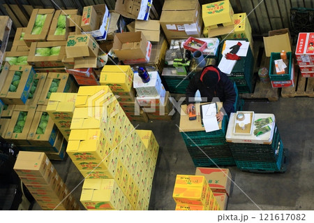 市場で伝票を書き入れる仲卸業者 大田市場の年末の風景 市場で伝票を書き入れる仲卸業者 大田市場の年末の風景 121617082