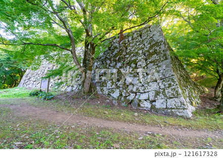 【日本100名城】秋の朝の津和野城 天守台の石垣 島根県鹿足郡津和野町 【日本100名城】秋の朝の津和野城 天守台の石垣 島根県鹿足郡津和野町 121617328