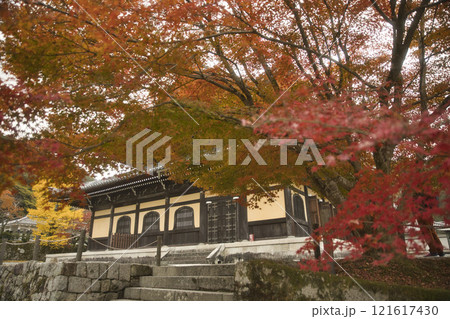 南禅寺 静寂に包まれた秋色に染まる木々と法堂18 南禅寺 静寂に包まれた秋色に染まる木々と法堂18 121617430