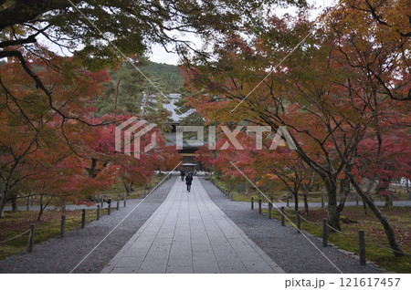 南禅寺参道　早朝の散歩とお参り3 121617457