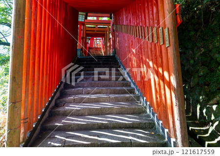秋の太皷谷稲成神社　立ち並ぶ千本鳥居1　島根県鹿足郡津和野町 121617559