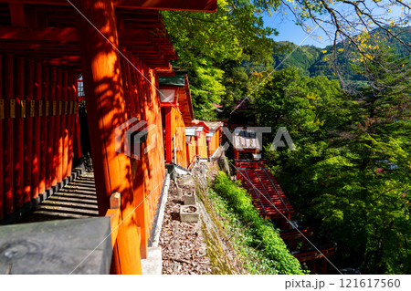 秋の太皷谷稲成神社　立ち並ぶ千本鳥居2　島根県鹿足郡津和野町 121617560