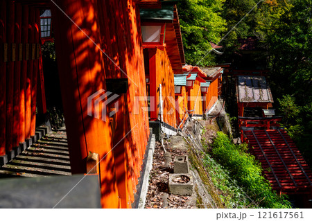 秋の太皷谷稲成神社 立ち並ぶ千本鳥居3 島根県鹿足郡津和野町 秋の太皷谷稲成神社 立ち並ぶ千本鳥居3 島根県鹿足郡津和野町 121617561