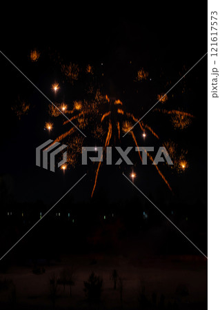 Festive fireworks in the night sky. 121617573