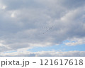 鳥の編隊飛行 121617618