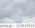 鳥の編隊飛行 121617619