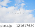 鳥の編隊飛行 121617620