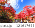 二尊院紅葉 121617655
