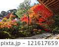 二尊院紅葉 121617659