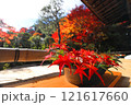 二尊院紅葉 121617660