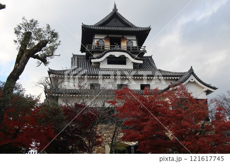 犬山城 121617745
