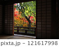 宝筐院紅葉 121617998