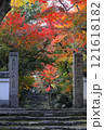 浄住寺紅葉 121618182
