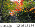 浄住寺紅葉 121618186