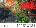 浄住寺紅葉 121618189