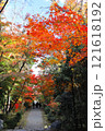 浄住寺紅葉 121618192
