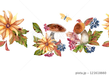 Autumn seamless border of mushrooms with yellow flower and rowan berries in watercolor isolated. Coneflowers and black chokeberry painted. Repeated texture with woodland plants hand drawn. Autumn seamless border of mushrooms with yellow flower and rowan berries in watercolor isolated. Coneflowers and black chokeberry painted. Repeated texture with woodland plants hand drawn. 121618660