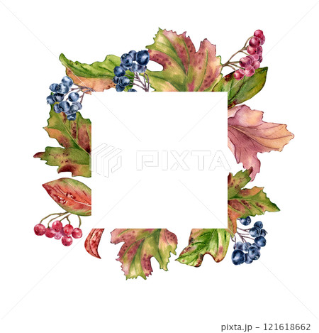 Foliage colorful autumn watercolor frame with rowan berries and black chokeberry isolated. Viburnum berry branches with leaves on hand drawn. Fall border with maple foliate and blue red berry. Foliage colorful autumn watercolor frame with rowan berries and black chokeberry isolated. Viburnum berry branches with leaves on hand drawn. Fall border with maple foliate and blue red berry. 121618662