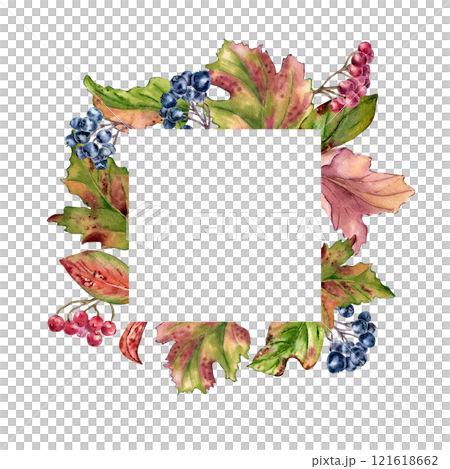 Foliage colorful autumn watercolor frame with rowan berries and black chokeberry isolated. Viburnum berry branches with leaves on hand drawn. Fall border with maple foliate and blue red berry. Foliage colorful autumn watercolor frame with rowan berries and black chokeberry isolated. Viburnum berry branches with leaves on hand drawn. Fall border with maple foliate and blue red berry. 121618662