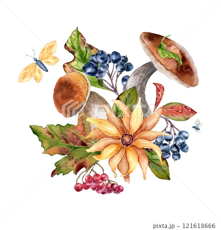 Autumn forest plants in watercolor composition with sunflower, mushrooms and red berries isolated. Seasonal illustration with bolete, black chokeberry and butterfly hand drawn. Fall botanical sketch. 121618666