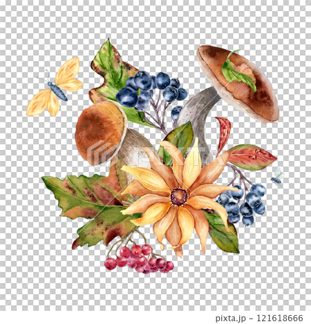 Autumn forest plants in watercolor composition with sunflower, mushrooms and red berries isolated. Seasonal illustration with bolete, black chokeberry and butterfly hand drawn. Fall botanical sketch. 121618666