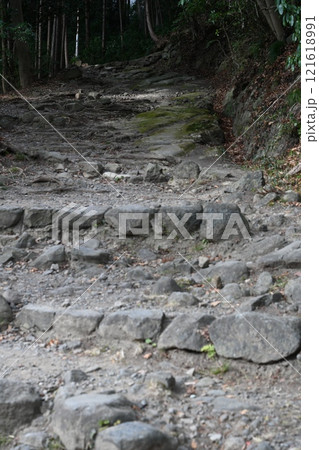 塩竈神社の七曲坂 121618991