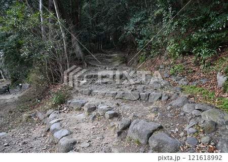 塩竈神社の七曲坂 121618992