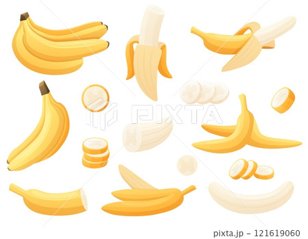 Cartoon bananas. Yellow banana in peel, cut slices and ready to eat. Exotic fruits bunch, vegetarian vitamin natural sweet food nowaday vector set Cartoon bananas. Yellow banana in peel, cut slices and ready to eat. Exotic fruits bunch, vegetarian vitamin natural sweet food nowaday vector set 121619060