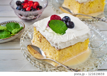 メキシコのスイーツ  　 パステル・デ・トレス・レチェス 121619659