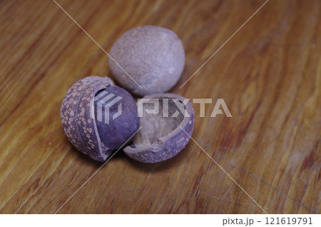 熟すと三つに裂け中に褐色の種子 トチノ実3 121619791