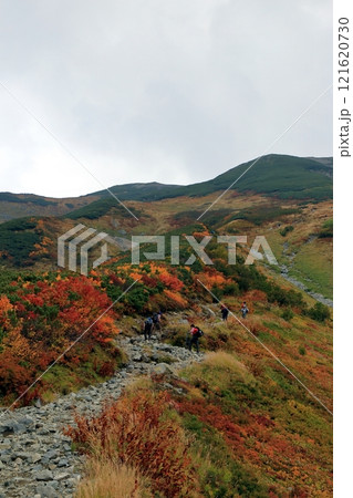 秋の雷鳥坂の登山道の風景 121620730