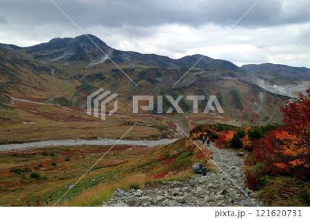 雷鳥坂から望む雷鳥沢キャンプ場方面の風景 121620731