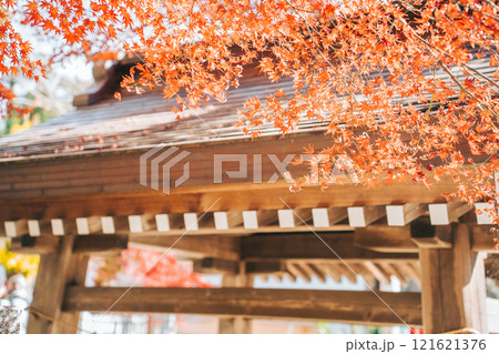 神社の手水舎の屋根と紅葉(茨城県つくば市 筑波山神社) 神社の手水舎の屋根と紅葉(茨城県つくば市 筑波山神社) 121621376