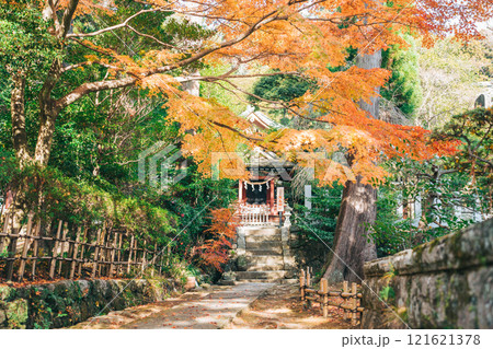 筑波山神社 厳島神社 紅葉 筑波山神社 厳島神社 紅葉 121621378