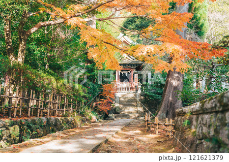 筑波山神社 厳島神社 紅葉 筑波山神社 厳島神社 紅葉 121621379